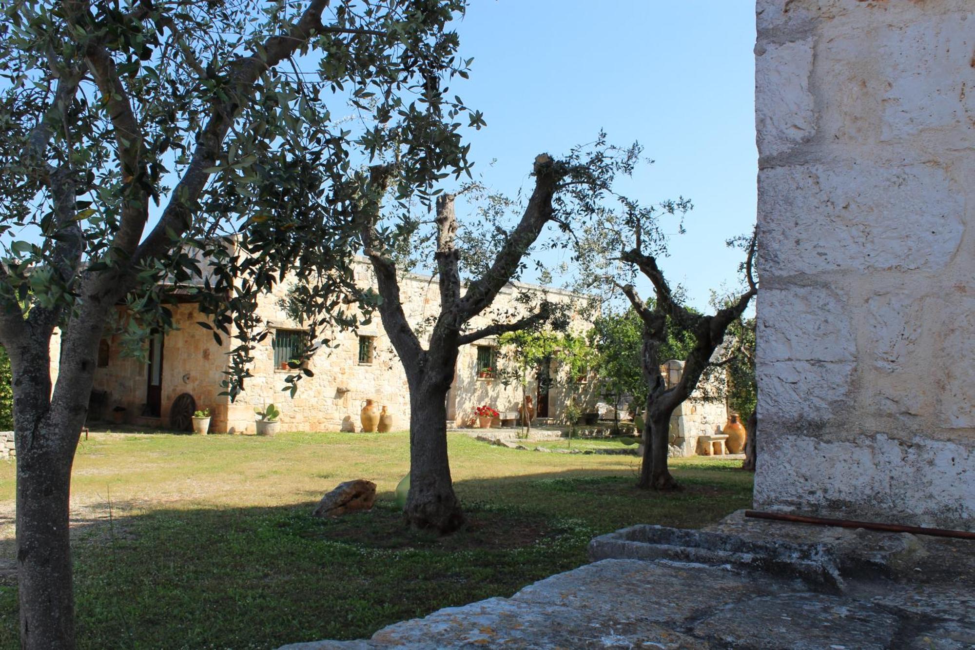 Alojamento de Acomodação e Pequeno-almoço Masseria Tolla *