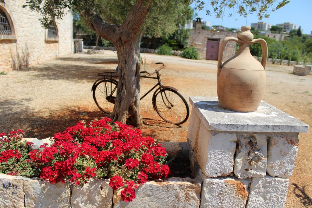 Bed and breakfast Masseria Tolla